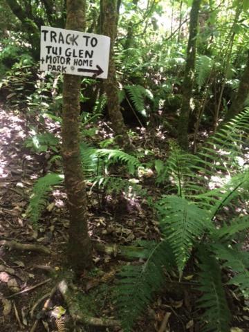 הוילה Raurimu Tui Glen מראה חיצוני תמונה